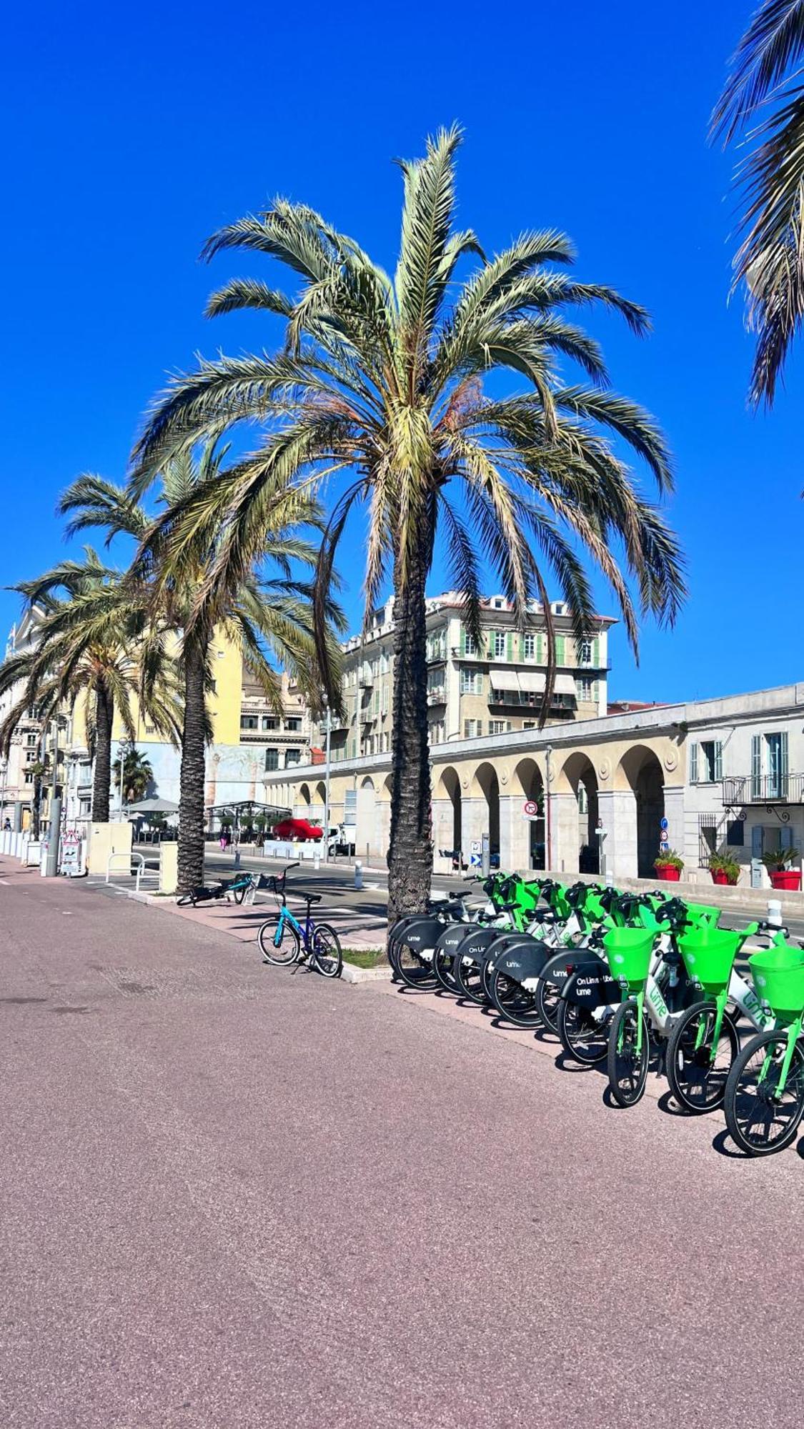L'Avenir Du Ray Nice Exterior foto